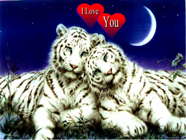 Обои картинки фото любовь, рисованные, животные, тигры