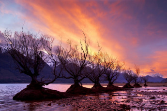 Картинка природа деревья горы закат