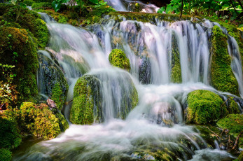 Картинка природа водопады мох камни поток вода