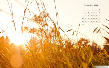 Картинка календари природа осень трава