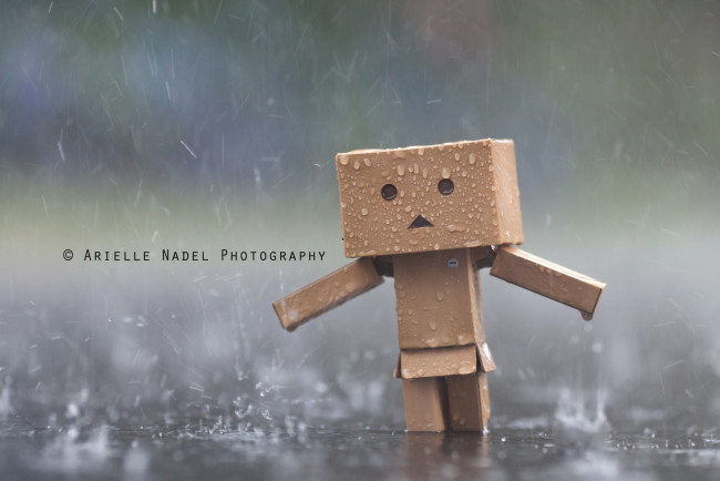Обои картинки фото разное, данбо, danboard, дождь, милый