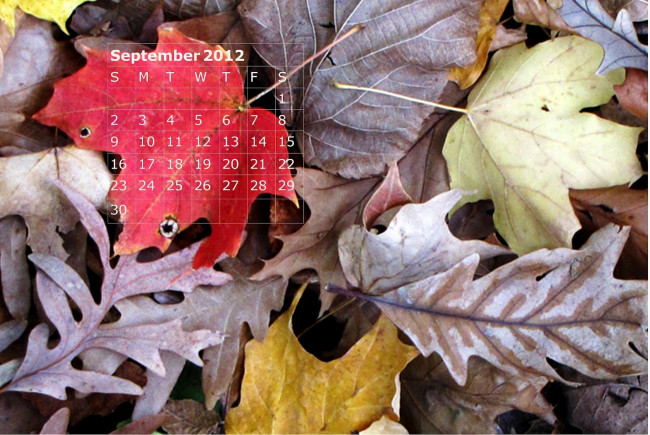 Обои картинки фото календари, природа, осень, листья