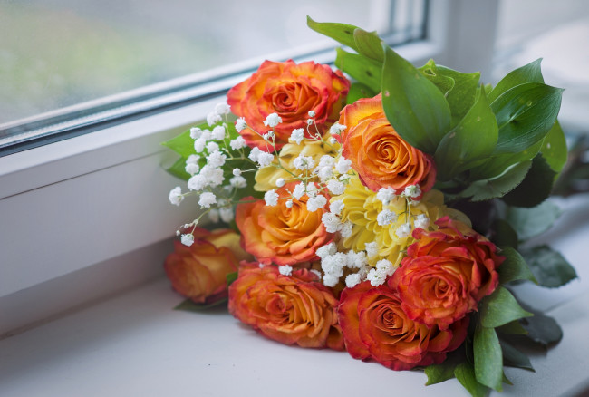 Обои картинки фото цветы, букеты, композиции, розы, гипсофила, хризантема, окно