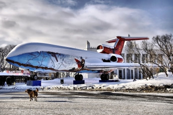 Картинка авиация памятник самолёту собака люди снег зима