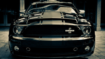 Картинка автомобили mustang ford snake super gt500 shelby