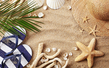 Картинка разное одежда +обувь +текстиль +экипировка лето starfish seashells пляж sand accessories beach summer vacation ракушки очки шляпа песок