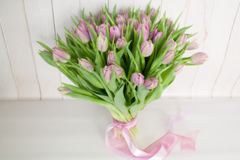 Картинка цветы тюльпаны капли цветение лепестки бутоны