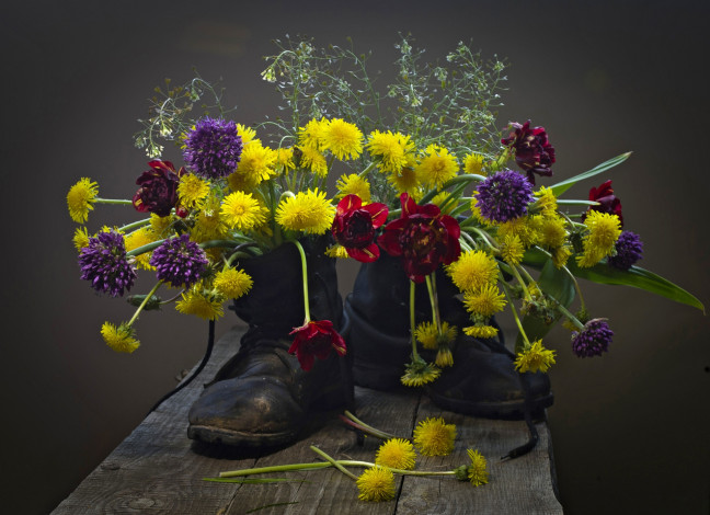 Обои картинки фото цветы, разные вместе, тюльпаны, одуванчики, обувь, ботинки, лук