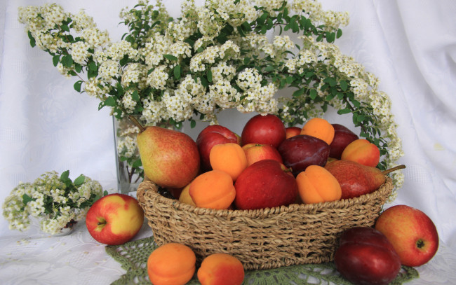Обои картинки фото еда, натюрморт, свежие, яблоки, сливы, и, абрикосы, в, плетеной, корзине, на, столе, с, белыми, цветами, груши