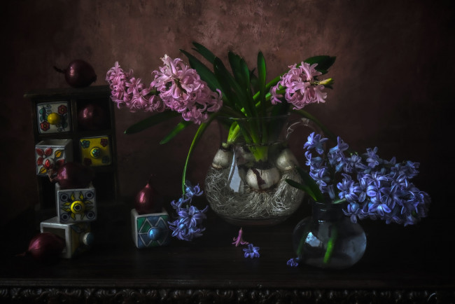 Обои картинки фото цветы, гиацинты, композиция, синий, розовый