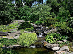 Картинка belmont park new york природа парк водопад растения