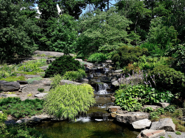Обои картинки фото belmont, park, new, york, природа, парк, водопад, растения