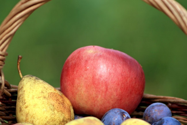 Обои картинки фото еда, фрукты, ягоды, груша, яблоко