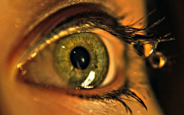 Картинка разное глаза вода капля зрачок ресницы глаз macro макро