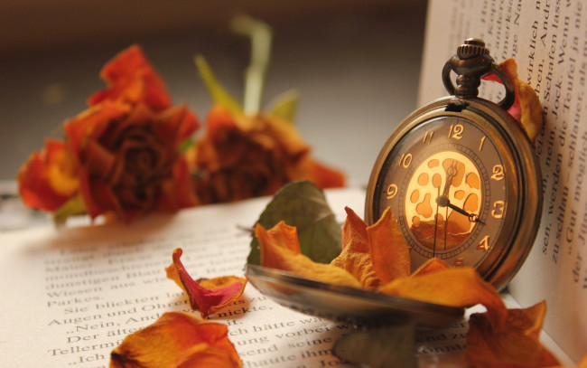 Обои картинки фото разное, Часы,  часовые механизмы, макро, книжка, время, часы, лепестки, цветок