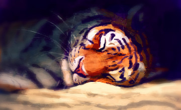 обоя рисованное, животные,  тигры, спит, by, meorow, тигр