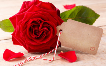 обоя праздничные, день святого валентина,  сердечки,  любовь, flowers, red, розы, romantic, roses, valentine`s, day, love, heart, бутоны, красные