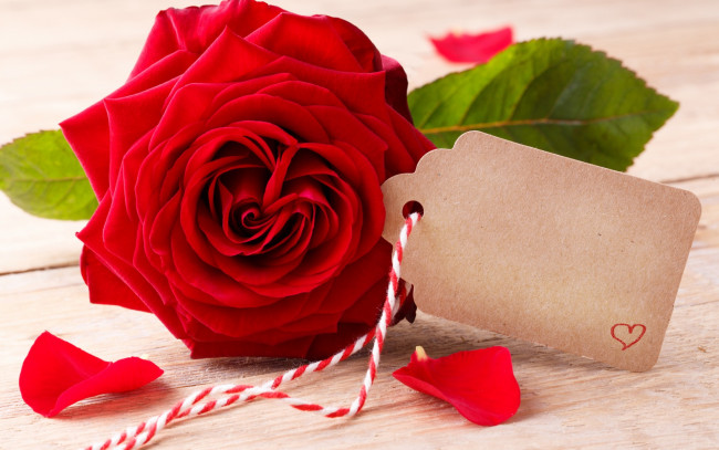 Обои картинки фото праздничные, день святого валентина,  сердечки,  любовь, flowers, red, розы, romantic, roses, valentine`s, day, love, heart, бутоны, красные
