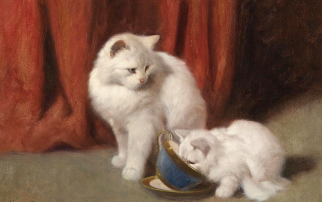 Обои картинки фото рисованное, животные,  коты, белая, кошка, картина, tea, time, arthur, heyer, арт, пушистая