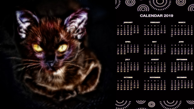 Обои картинки фото календари, компьютерный дизайн, кот, взгляд, кошка