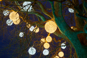 Картинка разное осветительные+приборы дерево фонарики