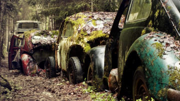 Картинка разное развалины +руины +металлолом машины старье мусор лес