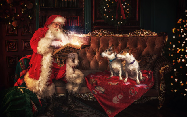 Обои картинки фото праздничные, дед мороз,  санта клаус, санта, книга, собачки