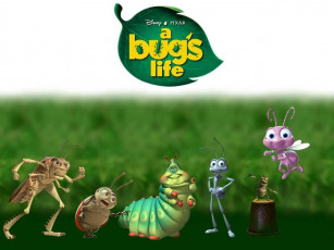 Картинка мультфильмы bugs life