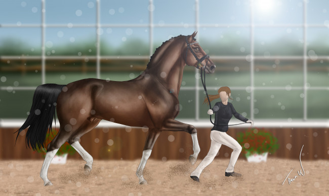 Обои картинки фото рисованное, животные,  лошади, лошадь, девушка