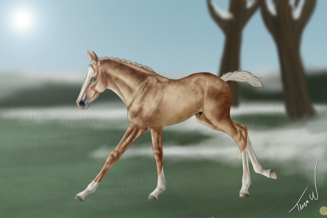 Обои картинки фото рисованное, животные,  лошади, лошадка, фон, взгляд, грива
