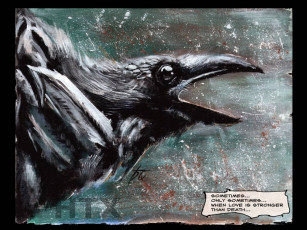 Картинка рисованные животные птицы ворон