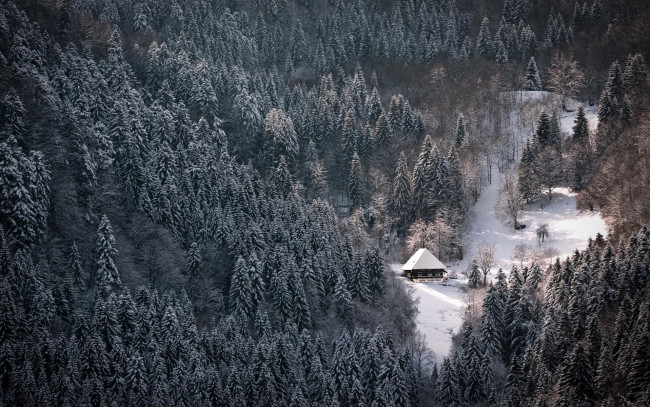 Обои картинки фото природа, лес, домик, снег, зима