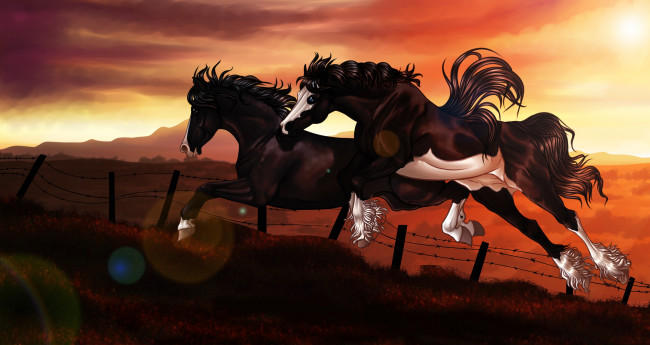 Обои картинки фото рисованные, животные, лошади, колючая, проволка, прыжок, забор, кони, закат