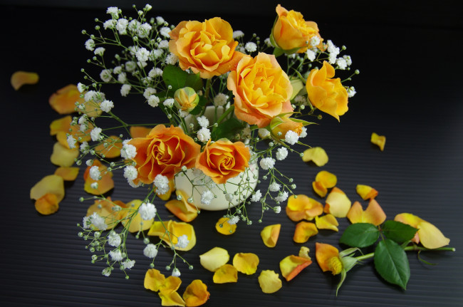 Обои картинки фото цветы, розы, гипсофила, лепестки, желтый, букет