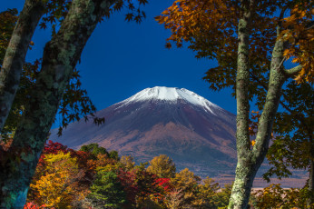 Картинка природа горы деревья небо гора фудзияма Япония снег осень листья