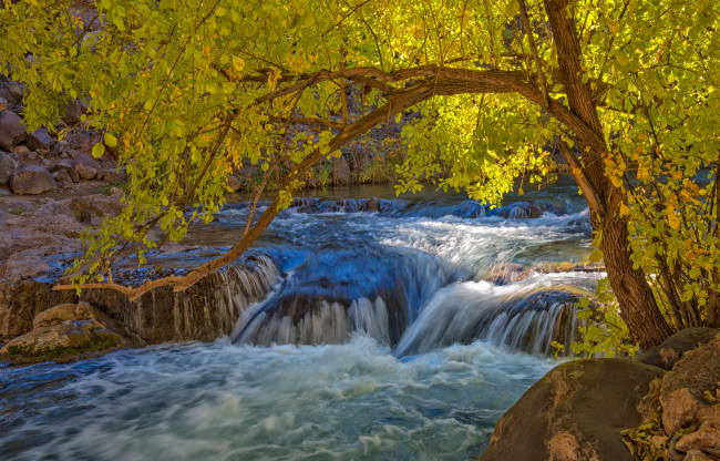 Обои картинки фото природа, водопады, осень, дерево, пороги, камни, река