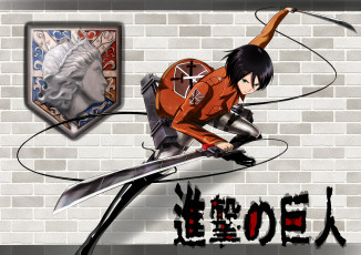 Картинка аниме shingeki+no+kyojin микаса атака титанов фон арт