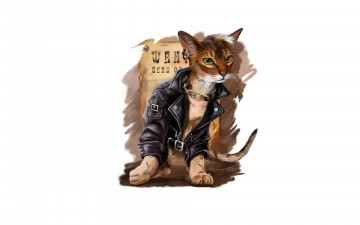 Картинка рисованное животные +коты кот куртка стиль