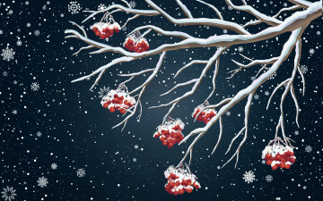Картинка векторная+графика природа+ nature зима новый год снег фон настроение праздник рябина ветвь минимализм