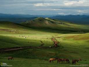 обоя природа, горы, монголия, холмы, дорога, лошади