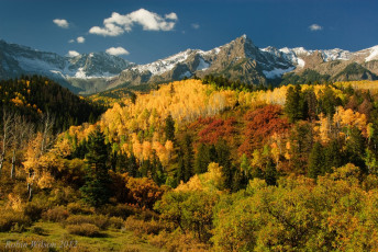 обоя природа, горы, деревья, осень