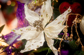 Картинка праздничные мишура гирлянды цветы пуансеттия