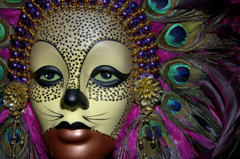 Картинка разное маски карнавальные костюмы перья