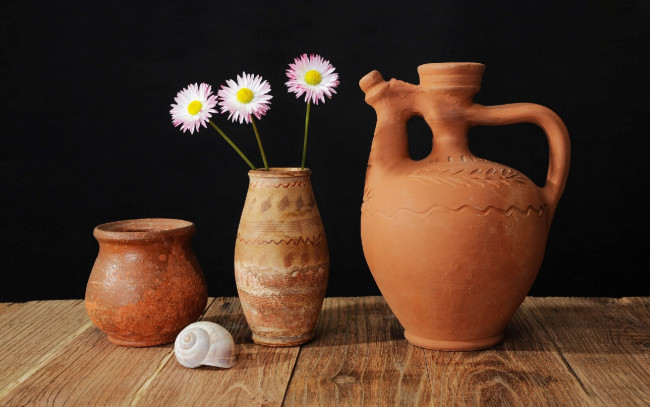 Обои картинки фото цветы, маргаритки, кувшин, ваза, ракушка