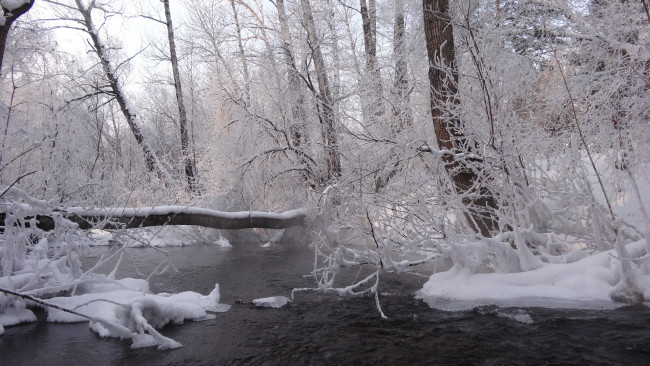 Обои картинки фото природа, зима, снег, река, деревья