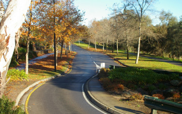 Картинка природа дороги осень деревья ступени парк шоссе дорога