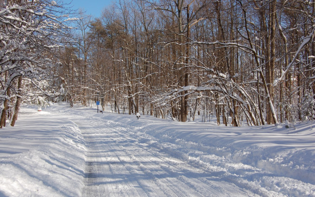Обои картинки фото природа, зима, лес, знак, деревья, дорога, снег