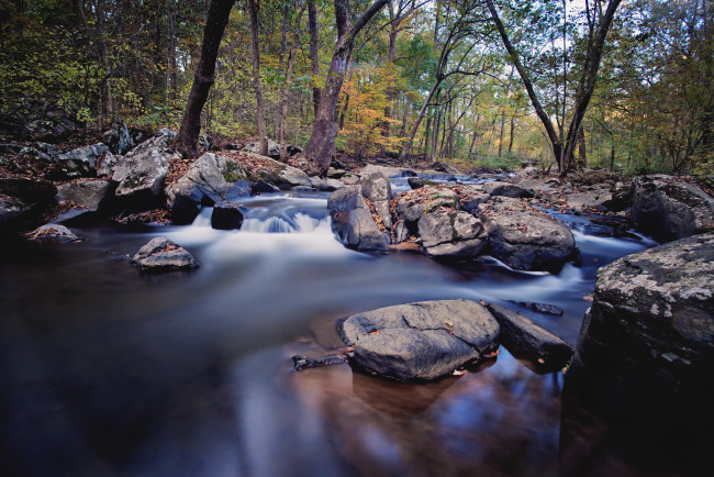 Обои картинки фото природа, реки, озера, камни, осень, ручей, река, лес