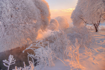 Картинка природа реки озера зима снег мороз