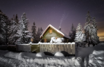 Картинка города -+здания +дома дома деревья снег